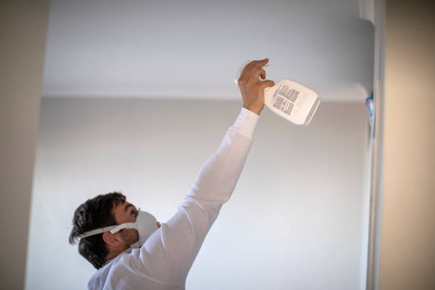 Best Affordable Mold Removal  in Ridgewood, NJ