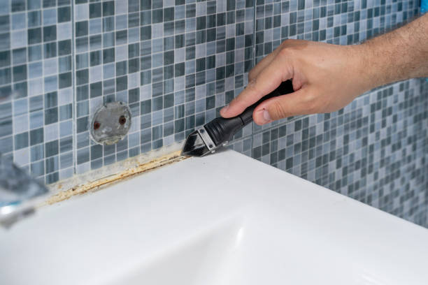 Ridgewood, NJ Mold Removal Pros