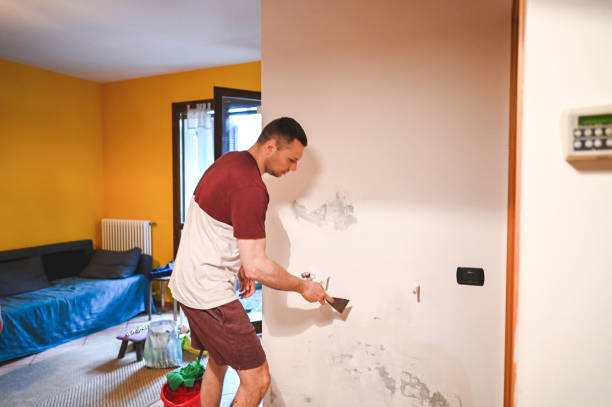 Best Mold Remediation Services  in Ridgewood, NJ